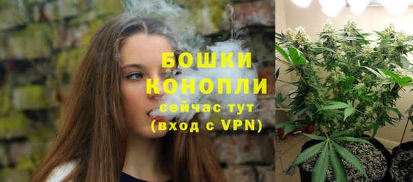 PSILOCYBIN Армянск