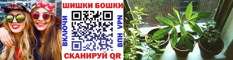 Шишки марихуана гибрид  мега ссылки  Старый Крым 